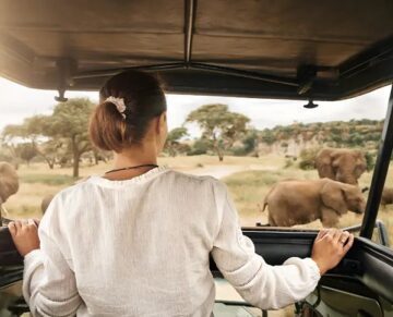 Kobieta obserwująca słonie na safari w Afryce z jeepu